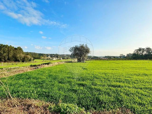 Terreno à venda em Barcelos
