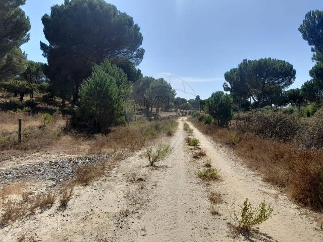 Terreno à venda em Benavente