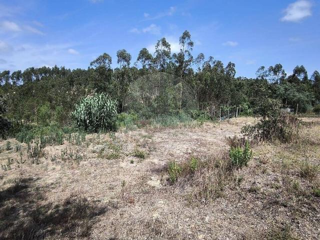 Terreno à venda em Graveto