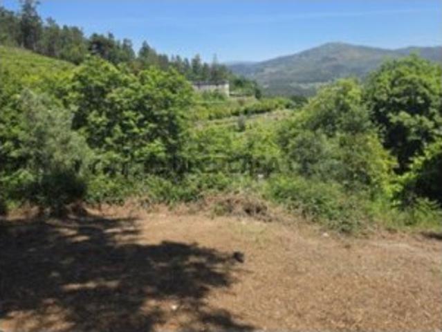 Terreno à venda em Dornelas, Amares