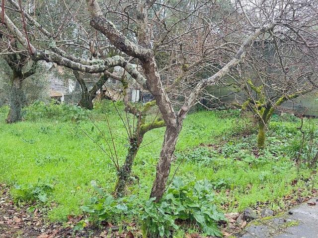 Terreno à venda em Foz de Arouce