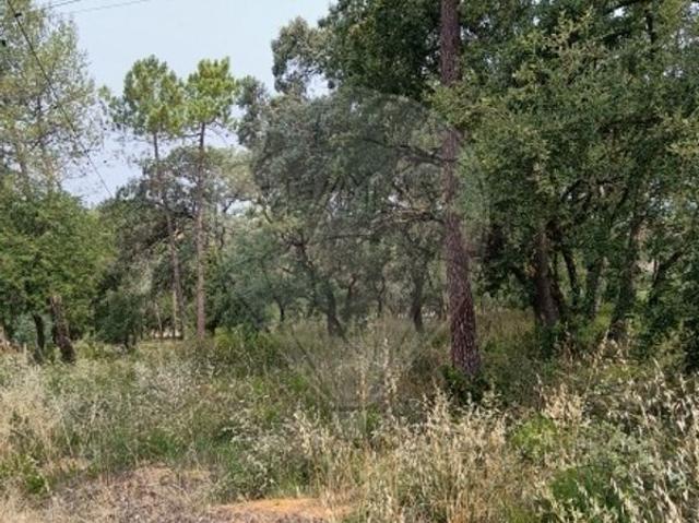 Terreno à venda em Fonte Galega