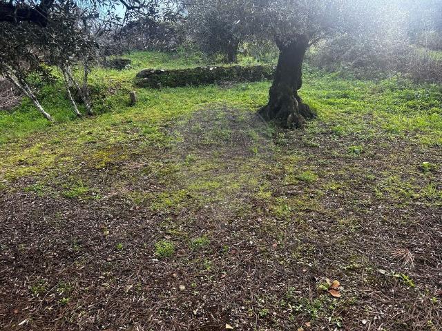 Terreno à venda em Ferreira do Zêzere