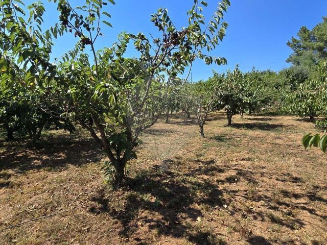 Terreno à venda em Fundão