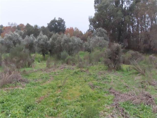 Terreno à venda em Idanha a Nova
