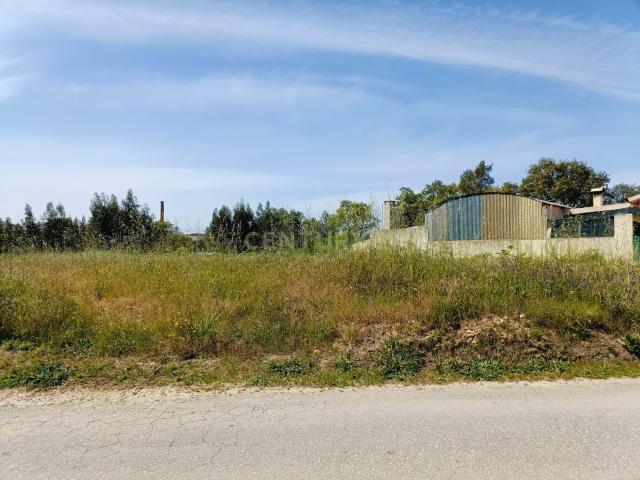 Terreno à Venda em Oliveira do Bairro, Aveiro 1180m²