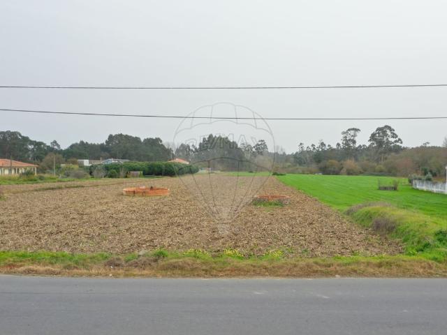 Terreno à venda em Oliveira do Bairro