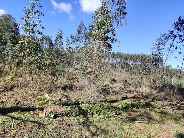 Terreno à venda em Oliveira do Bairro