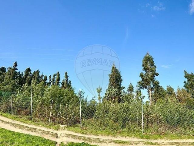 Terreno à venda em Oliveira do Hospital