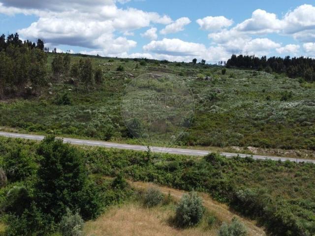 Terreno à venda em Oliveira do Hospital