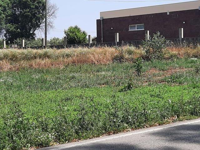 Terreno à venda em Ouca, Vagos 44.500€