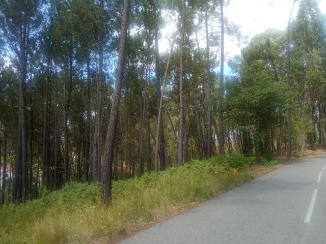 Terreno à venda em Ourém