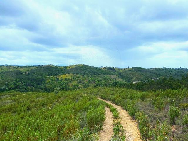 Terreno à venda em Ourique