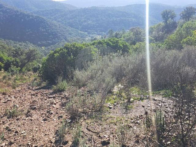 Terreno à venda em Loulé