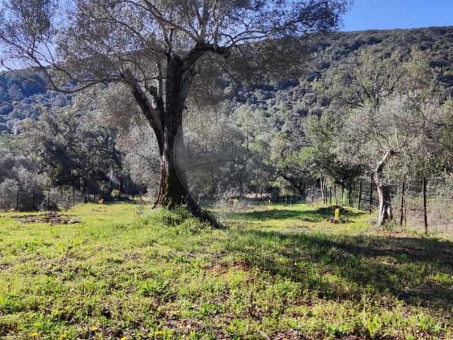 Terreno à venda em Loulé
