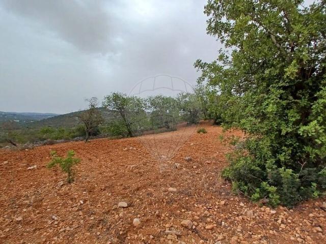 Terreno à venda em Loulé