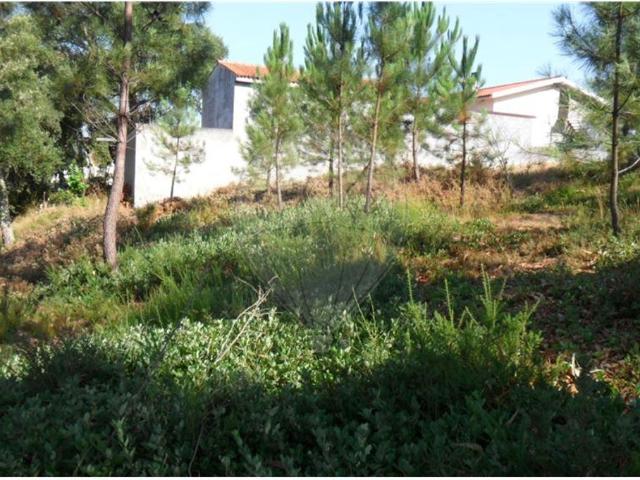 Terreno à venda em Lousã