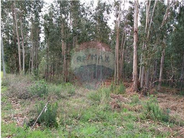 Terreno à venda em Lousã