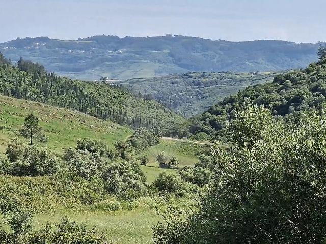 Terreno à venda em Lousa