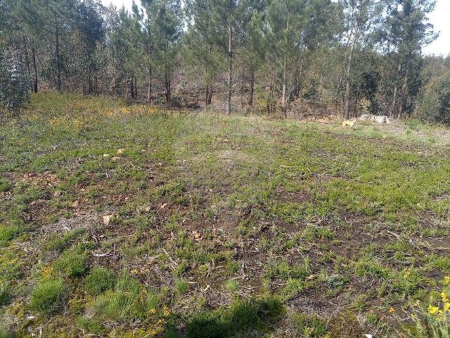 Terreno à venda em Lousada