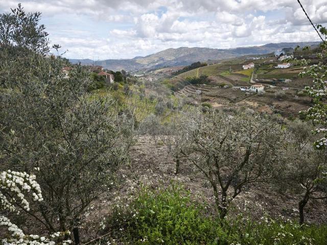Terreno à venda em Lamego