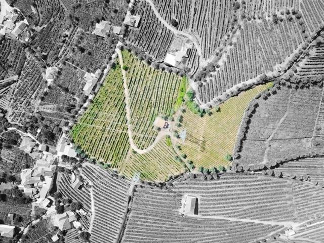 Terreno à venda em Lamego
