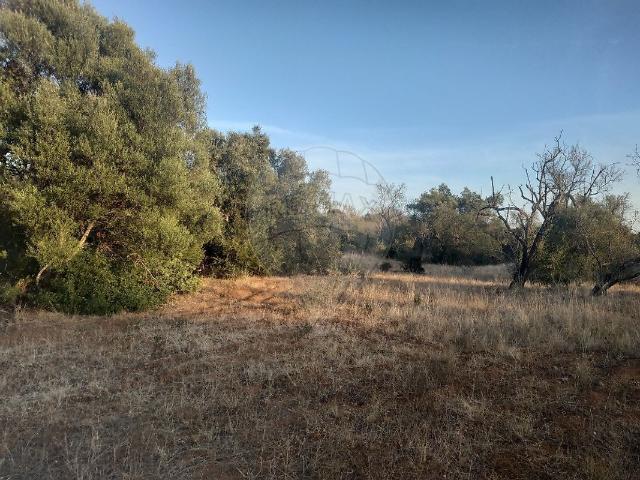 Terreno à venda em Laranjeiro