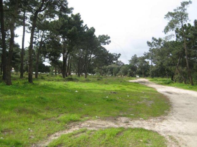 Terreno à venda em Carvalhinho