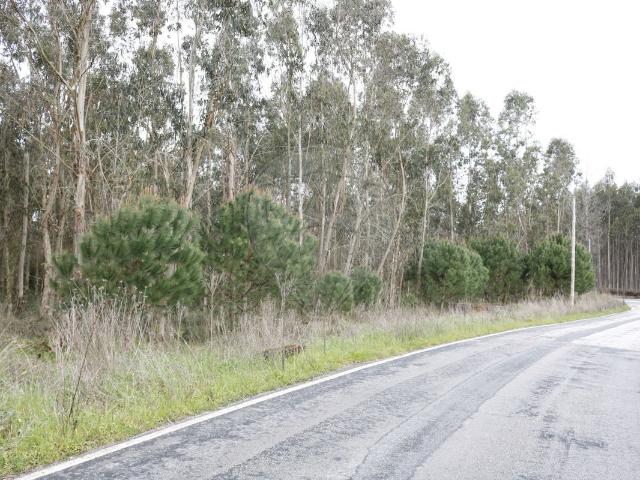 Terreno à venda em Montemor o Velho