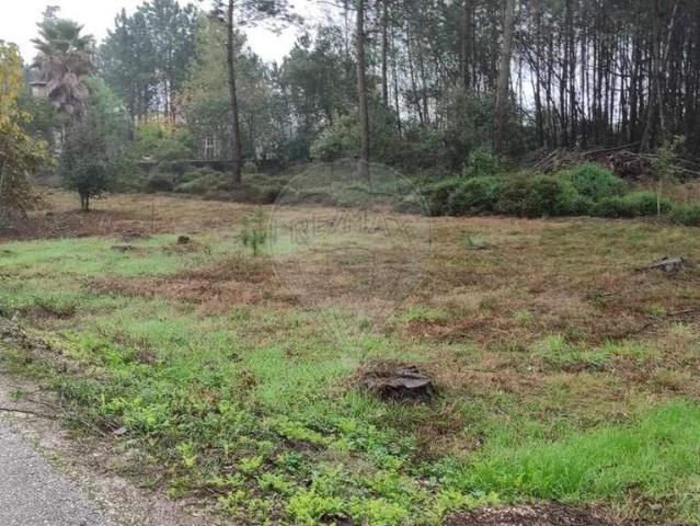 Terreno à venda em Matos da Ranha