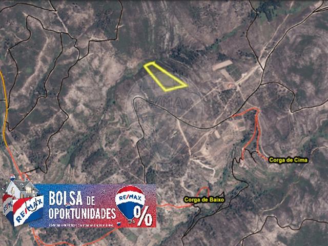 Terreno à venda em Mação