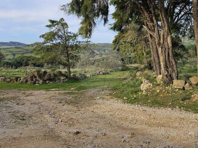 Terreno à venda em Mafra