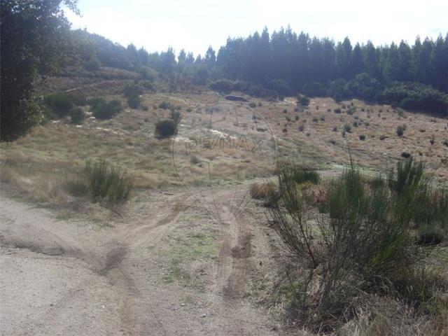 Terreno à venda em Marco de Canaveses
