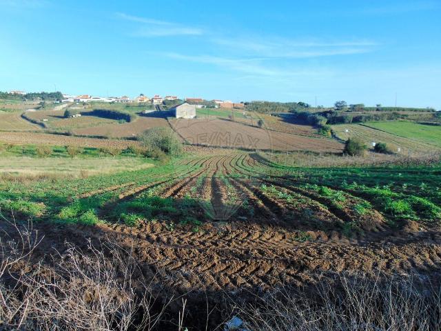 Terreno à venda em Miragaia