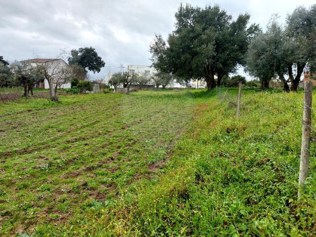 Terreno à venda em Nisa