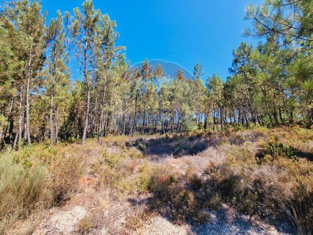 Terreno à venda em Santa Comba Dão