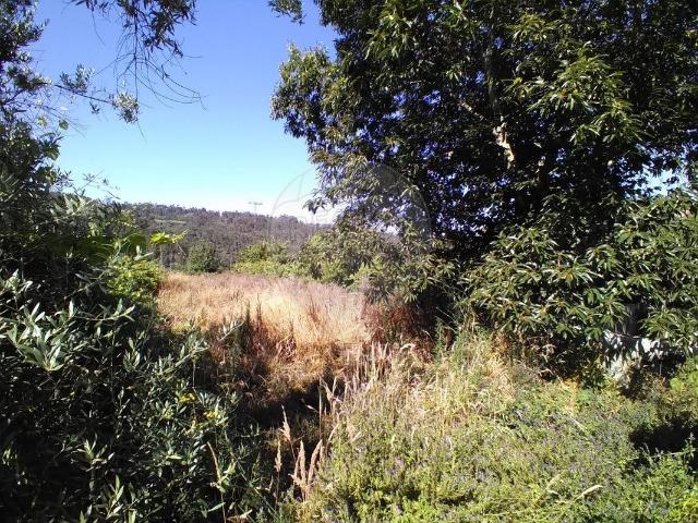 Terreno à venda em São Pedro do Sul