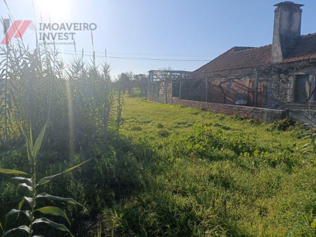 Terreno à venda em Santa Catarina Vagos