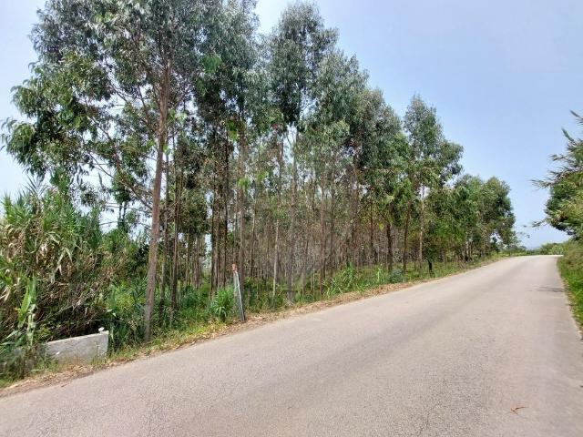 Terreno à venda em Serra da Pescaria
