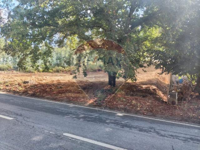 Terreno à venda em Sertã