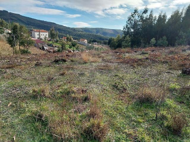 Terreno à venda em Sertã