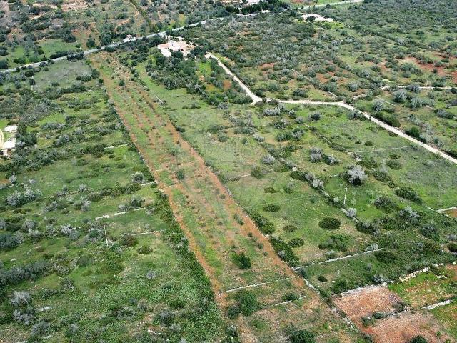 Terreno à venda em Silves