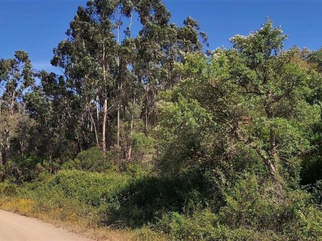 Terreno à venda em Silves