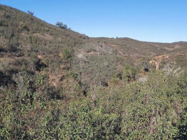 Terreno à venda em Silves