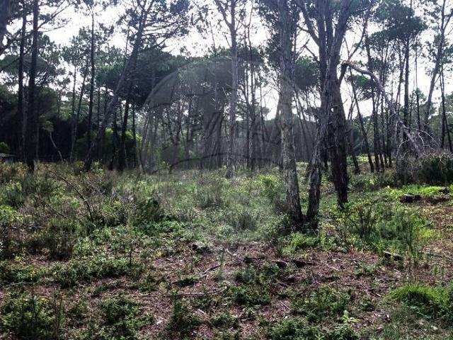 Terreno à venda em Sintra