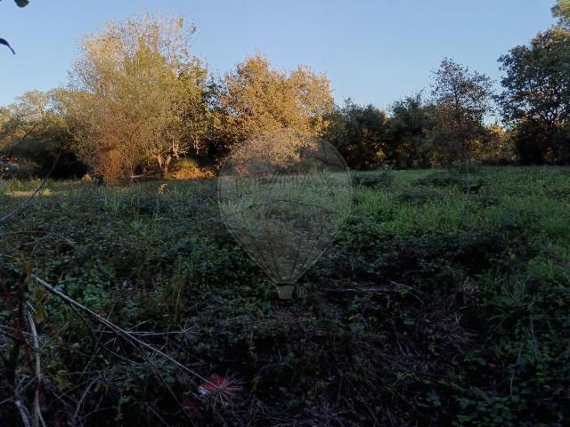 Terreno à venda em Pombal