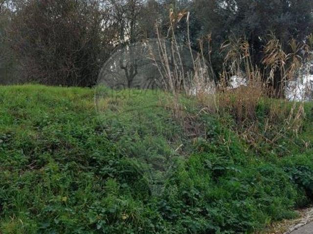Terreno à venda em Pombal