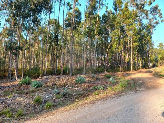 Terreno à venda em Pombal