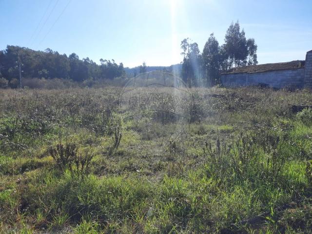 Terreno à venda em Pombal