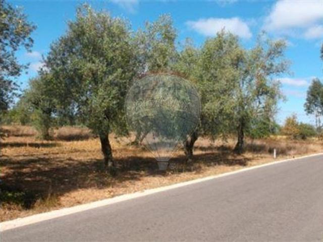 Terreno à venda em Pombal